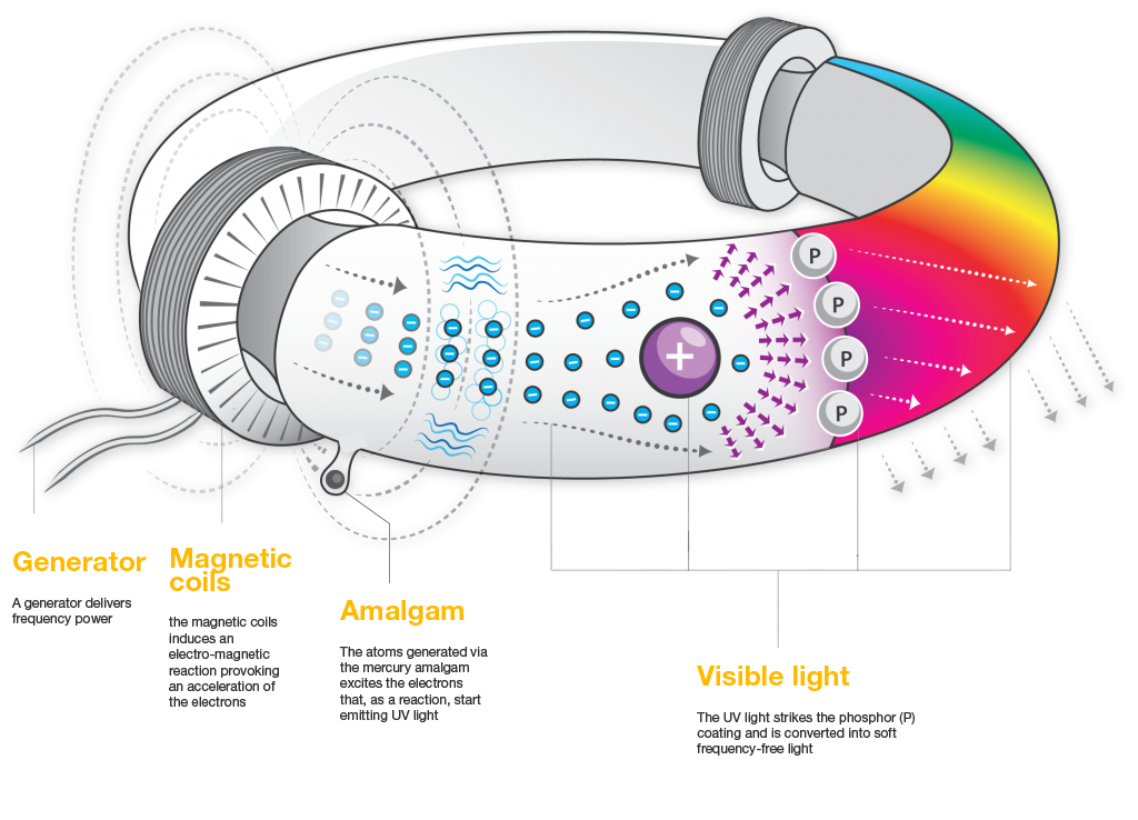 inductiondiagram