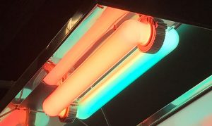 AGE induction grow light